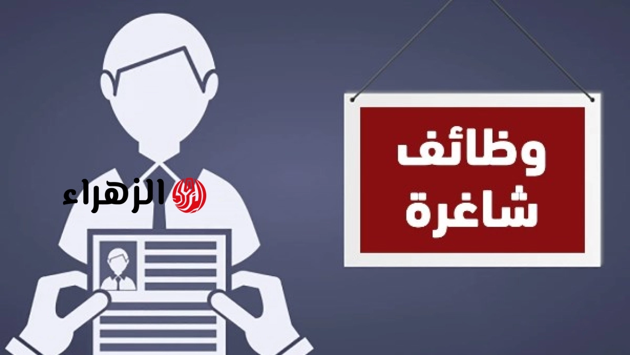 مصر للطيران تعلن وظائف جديدة لعام 2026 وتحدد التخصصات المطلوبة والشروط وموعد التقديم