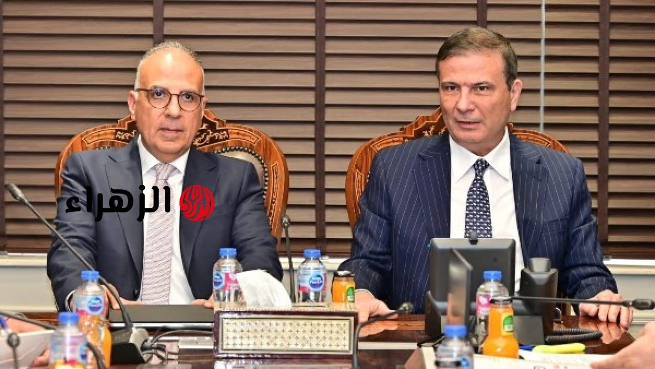 مصر والصين تبحثان التعاون في مشروعات الري وتطوير الزراعة الذكية