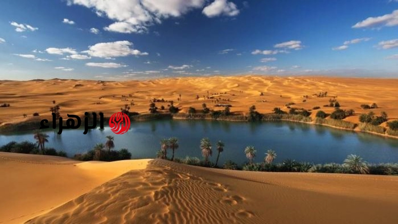 مطالب بتطوير حلوان لتعزيز مكانتها كمقصد عالمي للسياحة والاستشفاء العلاجي
