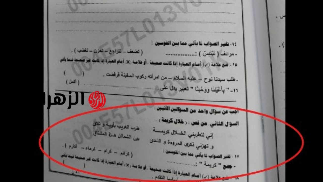 معلم يوضح الإجابة عن سؤال جمع كلمة كريمة في امتحان اللغة العربية للشهادة الإعدادية بالمنوفية