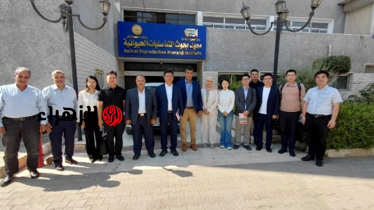 معهد التناسليات الحيوانية يستقبل وفدًا صينيًا لبحث التعاون العلمي والاستثماري في الثروة الحيوانية