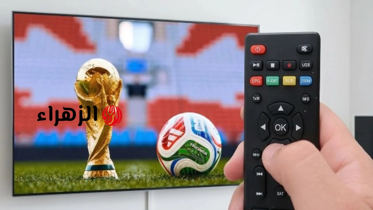 موعد مباراة مصر وبلجيكا والقنوات الناقلة والتوقيت الرسمي للمباراة