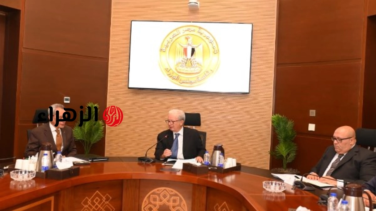 نائب رئيس الوزراء يتابع خطط إعادة هيكلة وحوكمة الشركات الحكومية لتحسين الكفاءة وزيادة العوائد