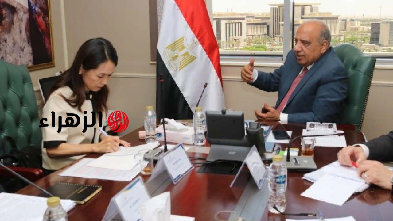 نائب وكالة التعاون الدولي اليابانية يبحث جهود تطوير قطاع الكهرباء في مصر