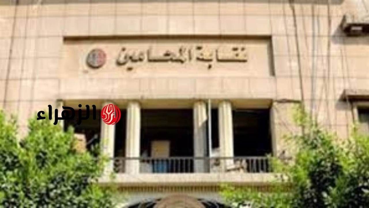 نقابة المحامين تحيل نسمة الخطيب للتحقيق بعد دعوتها لتقنين الدعارة في مصر