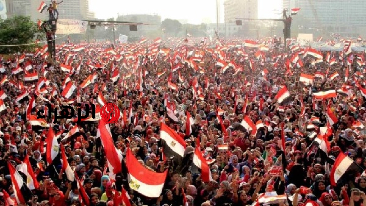 نقيب الفلاحين يؤكد أن ثورة 30 يونيو غيرت خريطة الزراعة المصرية ويدعم إنجازات القطاع الزراعي