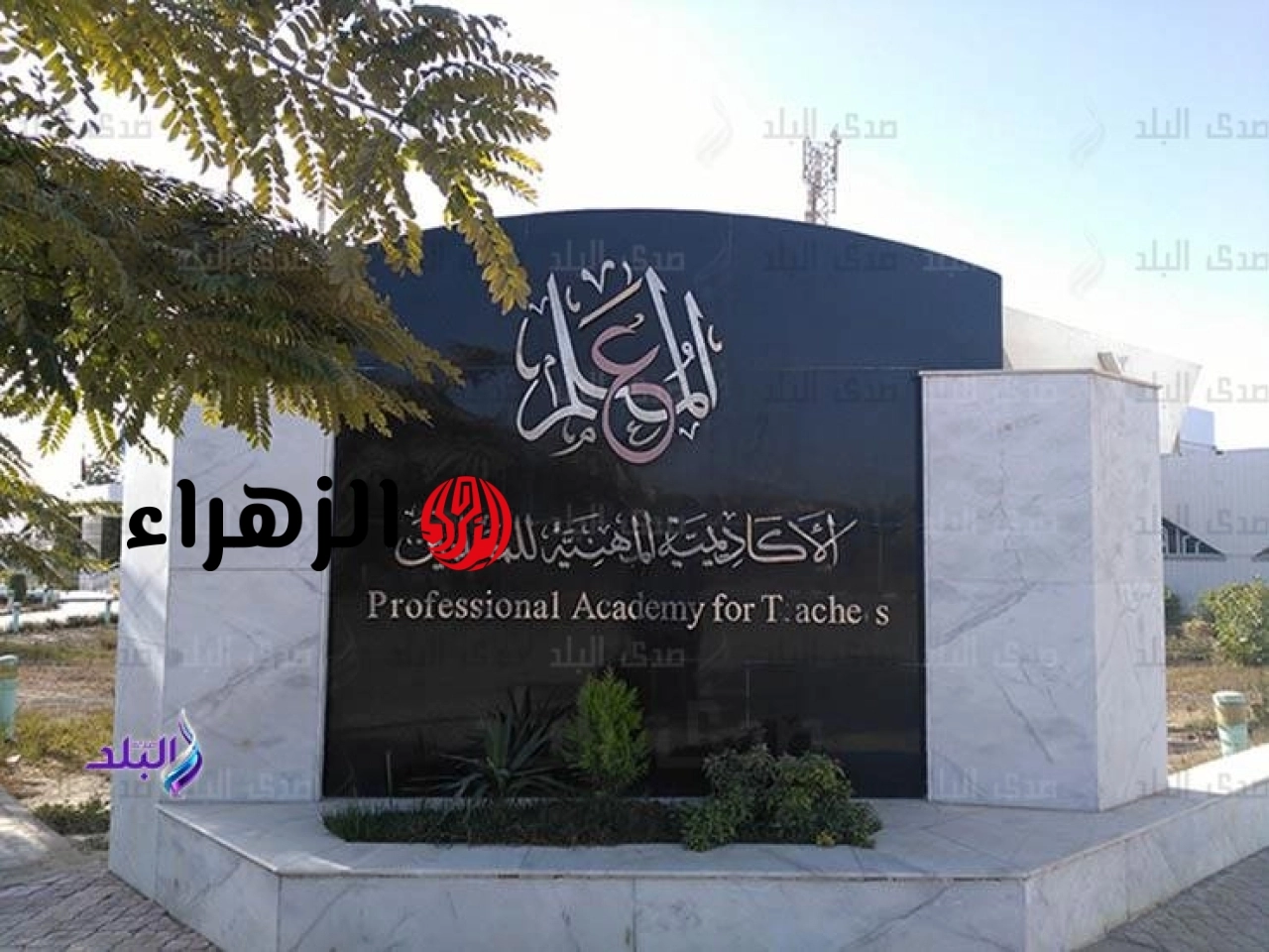 وزارة التربية والتعليم تعلن مد فترة تقدم المعلمين والأخصائيين لشهادة الصلاحية حتى 22 يوليو