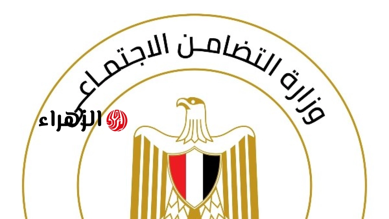 وزارة التضامن تعلن نقل أطفال بيت صغير بالسلام إلى مؤسسة رعاية واتخاذ إجراءات عاجلة لدعمهم