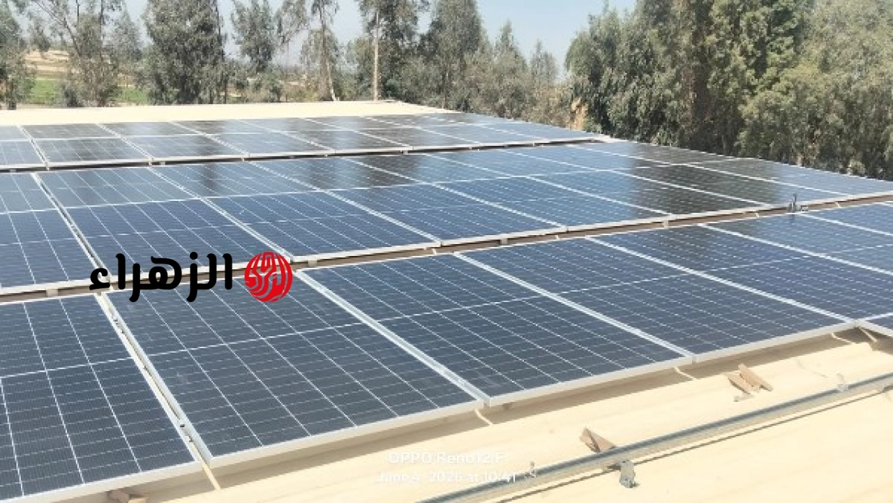 وزارة التنمية المحلية والبيئة تعلن دعم مبادرات التحول نحو الاقتصاد الأخضر في المجتمعات المحلية
