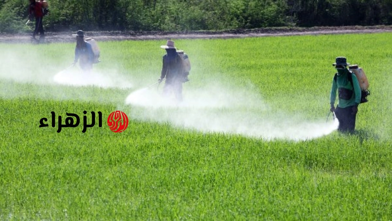 وزارة الزراعة تعلن إجراءات لترشيد استخدام الأسمدة النيتروجينية للحفاظ على صحة الإنسان