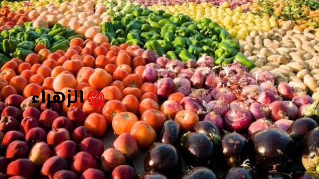 وزارة الزراعة تعلن نتائج فحص الشحنات المصدرة وتوضح موقفها من التقارير حول الرفض بالخارج