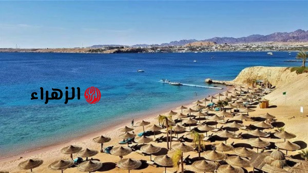 وزارة السياحة تصدر توجيهًا إلزاميًا لجميع الفنادق بشأن إجراءات حماية السائحين في مصر