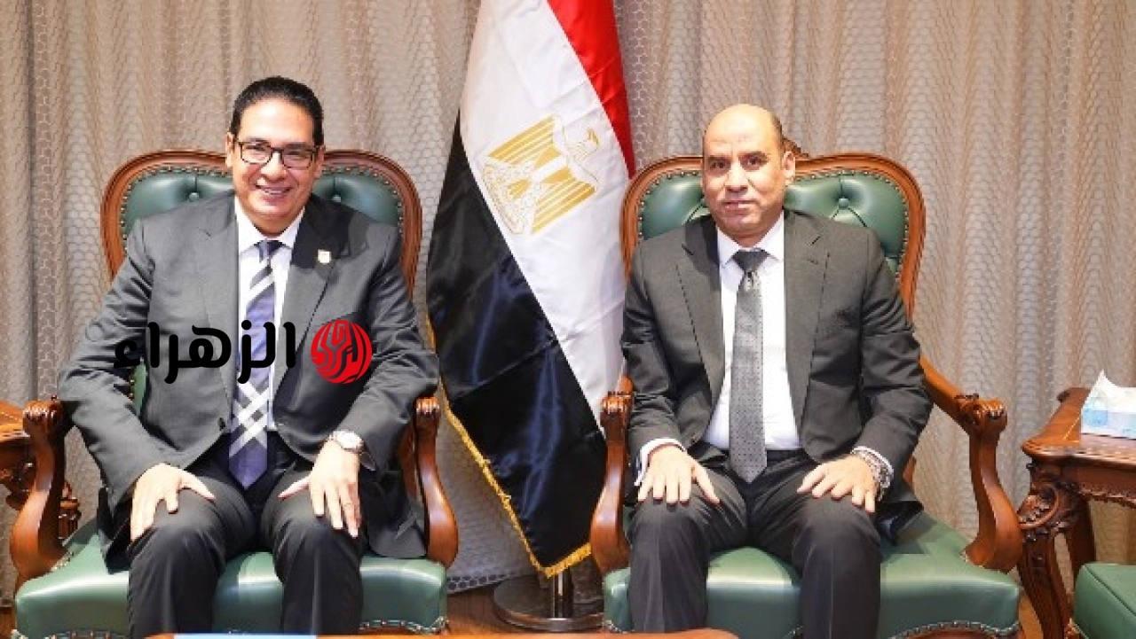 وزارة العمل تعلن إتاحة مراكز التدريب لتأهيل طلاب وخريجي جامعة القاهرة لسوق العمل
