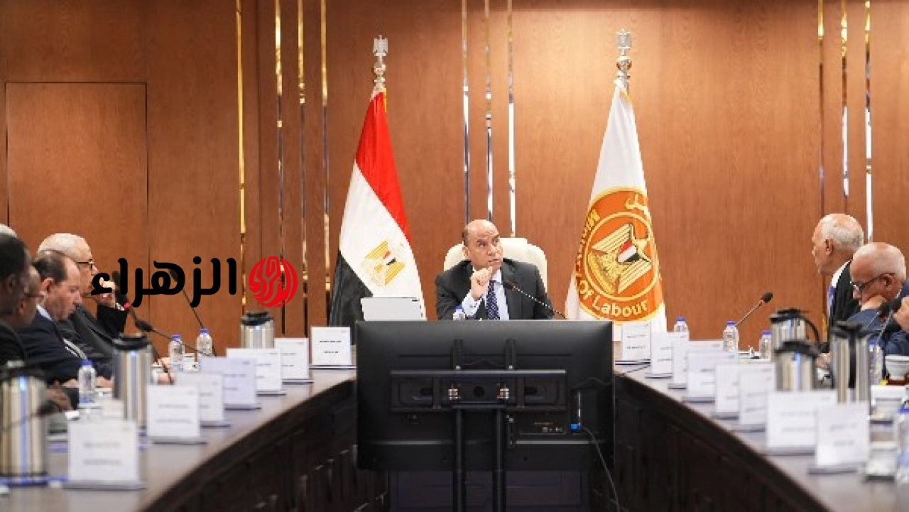 وزارة العمل تعلن صرف 76.4 مليون جنيه إعانات طوارئ لاثني عشر ألف عامل في منشآت متعثرة