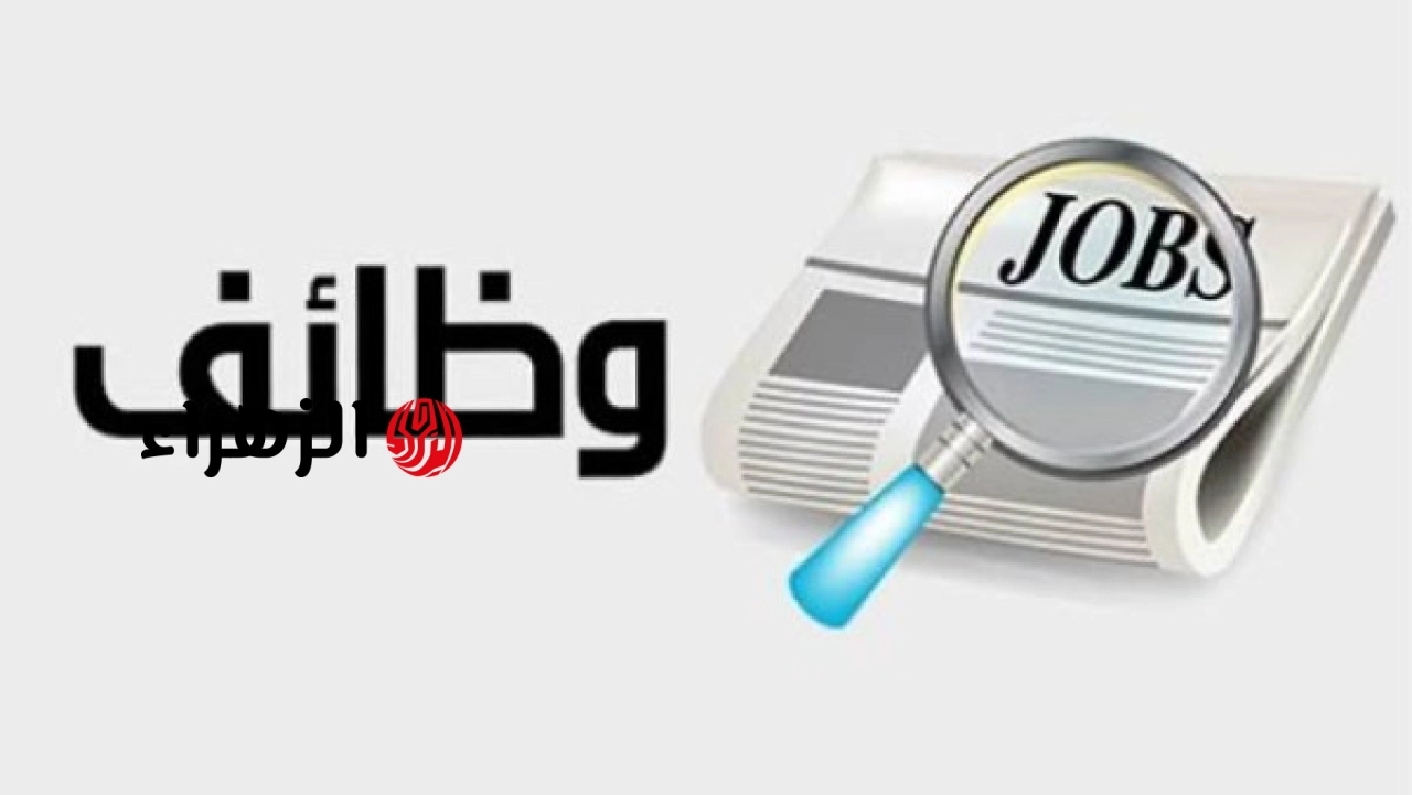 وزارة العمل تعلن عن 850 وظيفة جديدة برواتب تصل إلى 10 آلاف جنيه ومزايا شاملة
