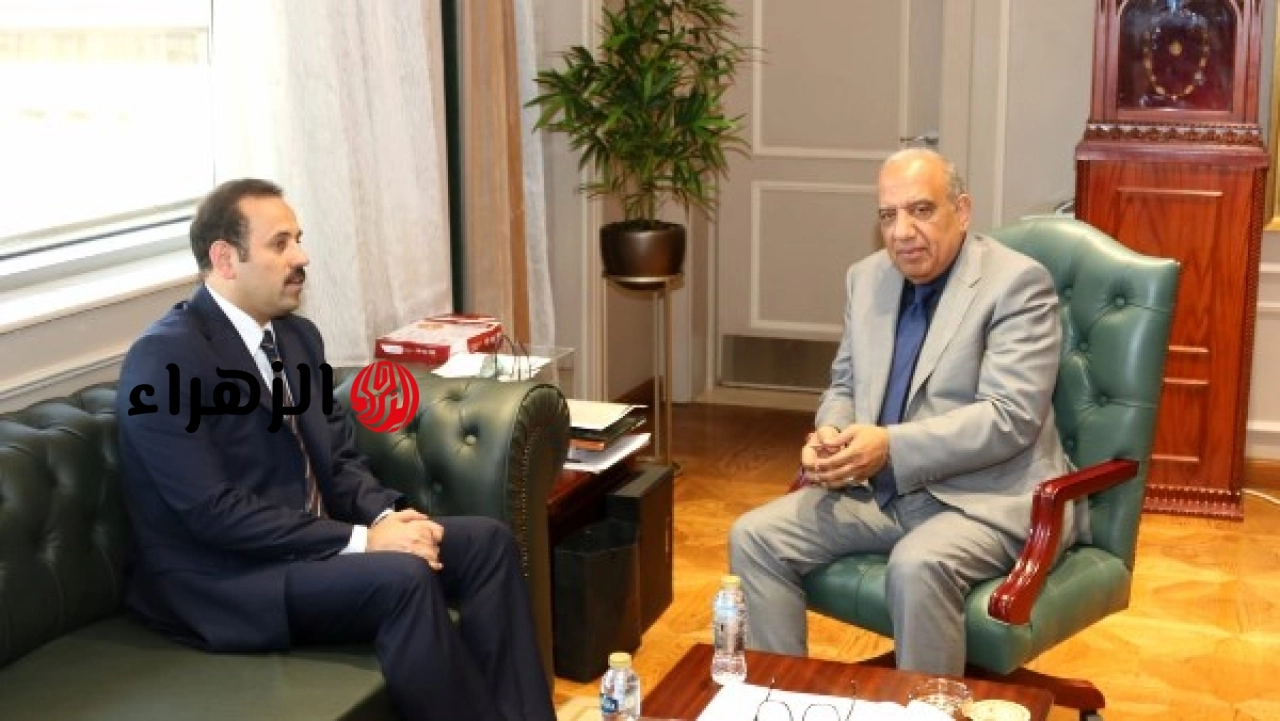 وزارة الكهرباء تعلن ربط مشروعات طاقة شمسية وبطاريات تخزين بقدرة 2324 ميجاوات على الشبكة في نجع حمادي والواحات