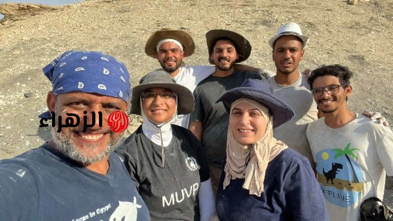 وزير التعليم العالي يعلن اكتشافًا جديدًا لجامعة المنصورة يسهم في دراسة تاريخ البحار بعد انقراض الديناصورات
