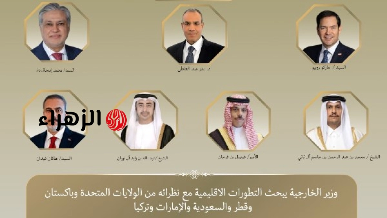 وزير الخارجية يبحث مستجدات الأوضاع الإقليمية مع نظرائه في أمريكا وباكستان وقطر والسعودية والإمارات وتركيا
