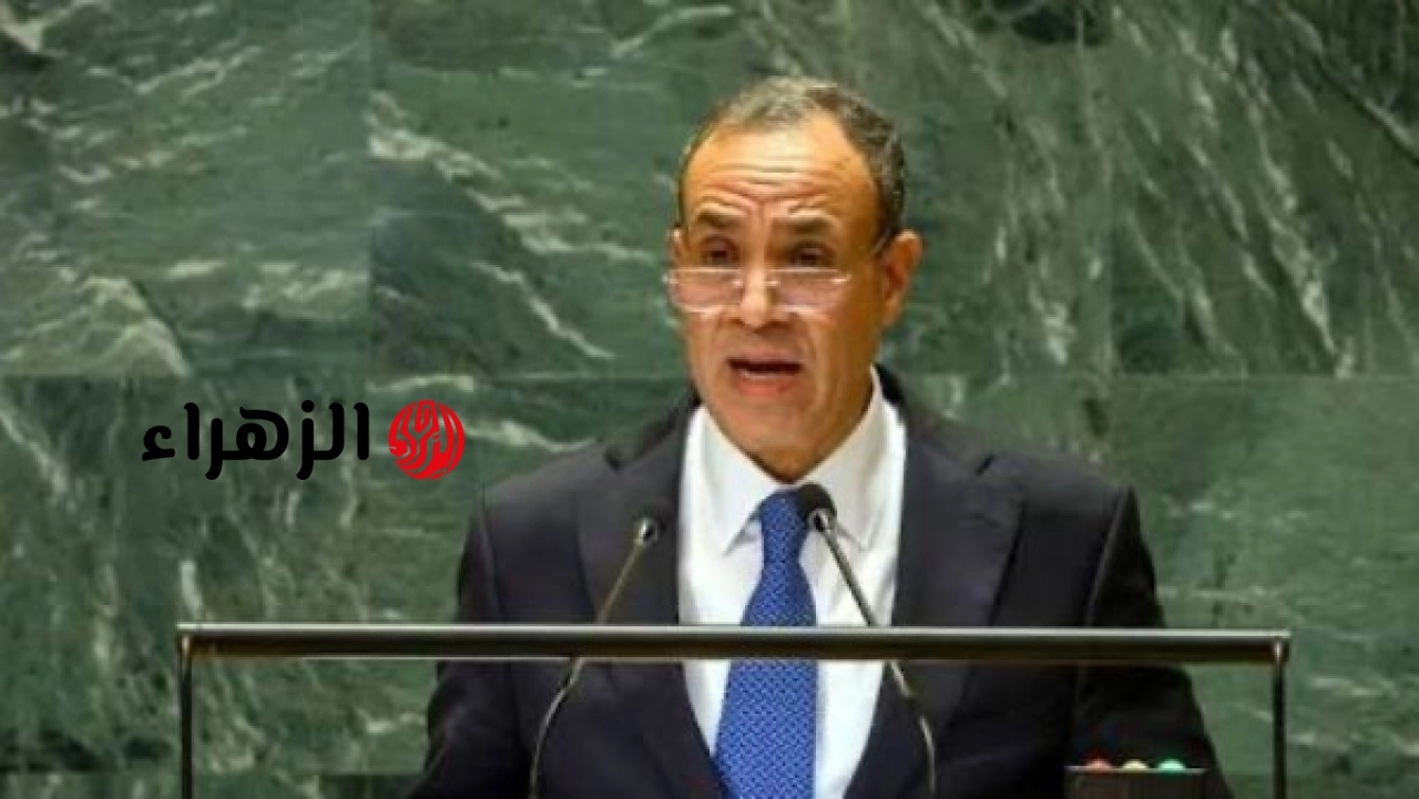 وزير الخارجية يشدد على دور الصناديق متعددة الأطراف في دعم الاستقرار الإقليمي وتخفيف التحديات الاقتصادية