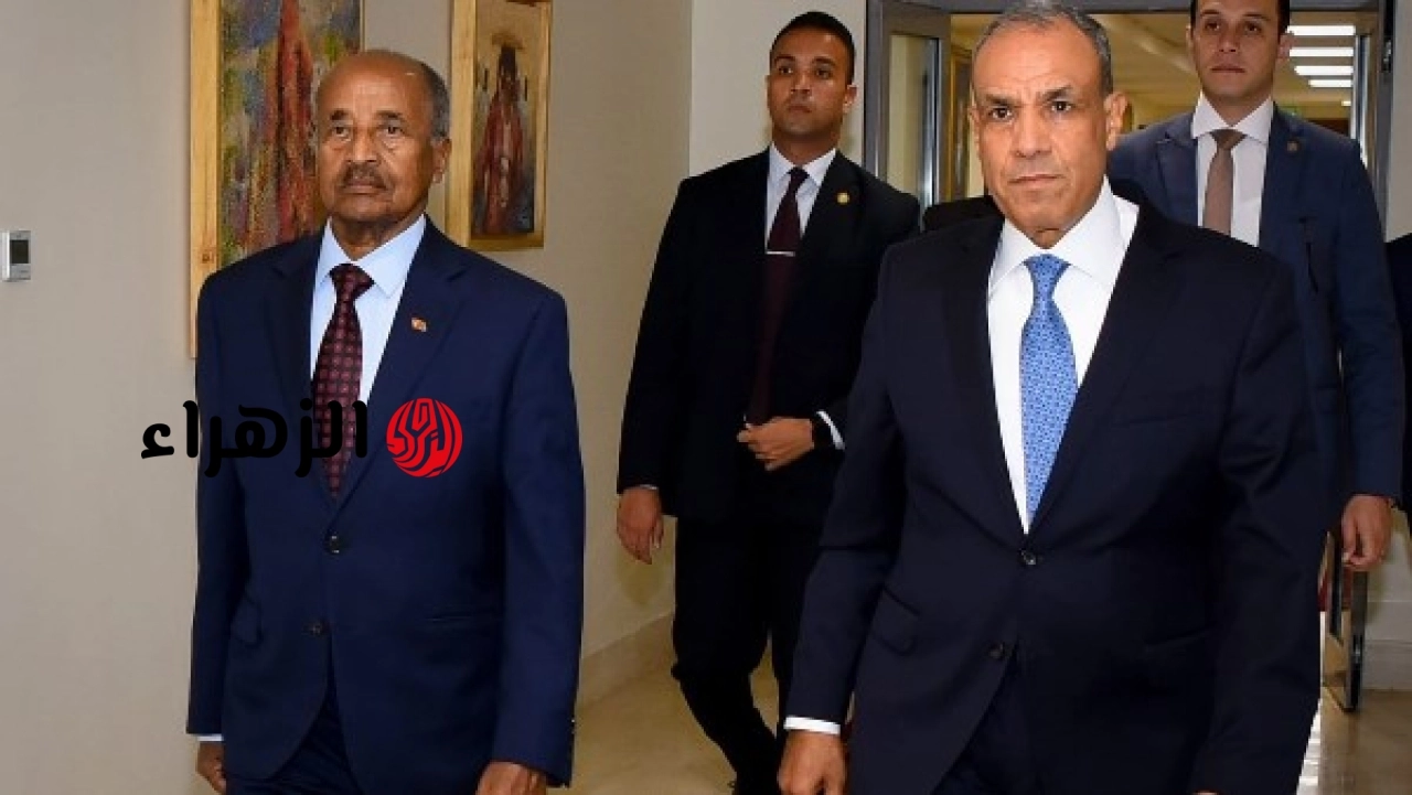 وزير الخارجية يناقش مع وزير خارجية إريتريا سبل تعزيز الشراكة والتنسيق حول القضايا الإقليمية