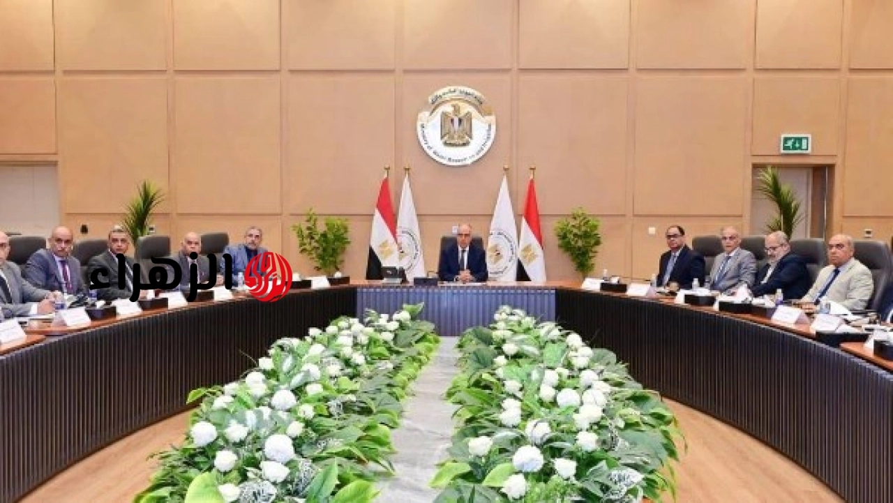 وزير الري يعلن دراسة تركيب عدادات لمحطات الخلط الوسيط لتدقيق الميزان المائي