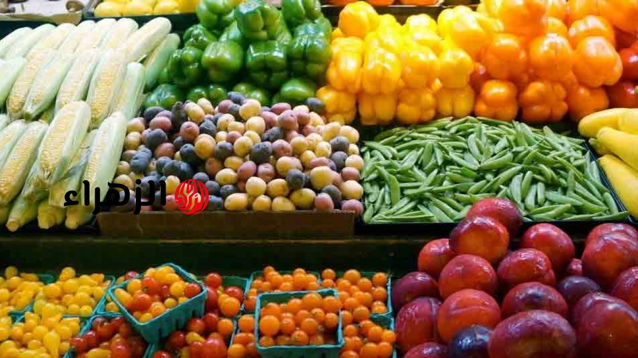 وزير الزراعة يعلن تجاوز الصادرات الزراعية المصرية 5 ملايين طن والموالح تتصدر القائمة حتى الآن