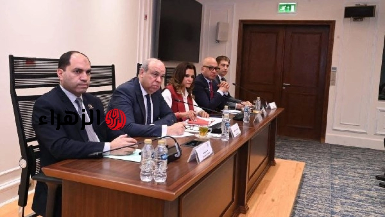 وزير الطيران يبحث دعم الشركات الخاصة خلال مشاركته في اجتماعات لجنة مجلس النواب