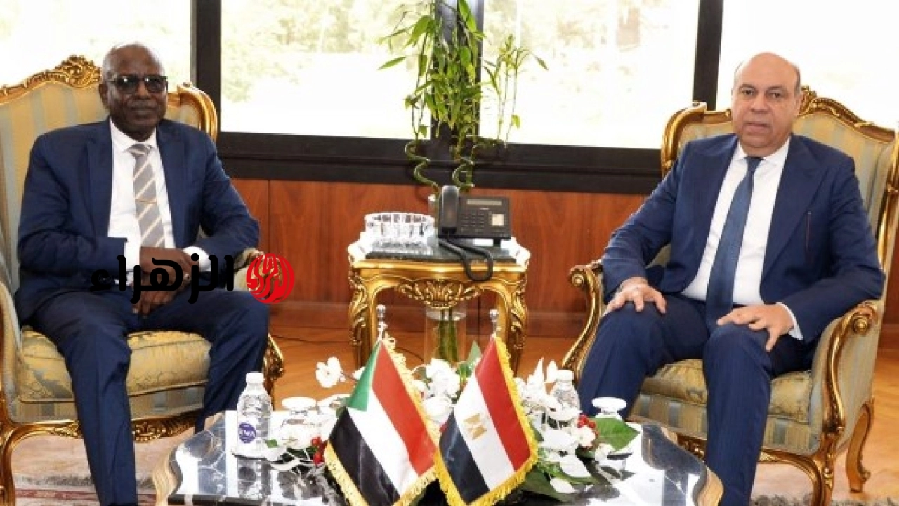 وزير الطيران يبحث مع وزير البنية التحتية والنقل السوداني سبل تعزيز التعاون بين البلدين