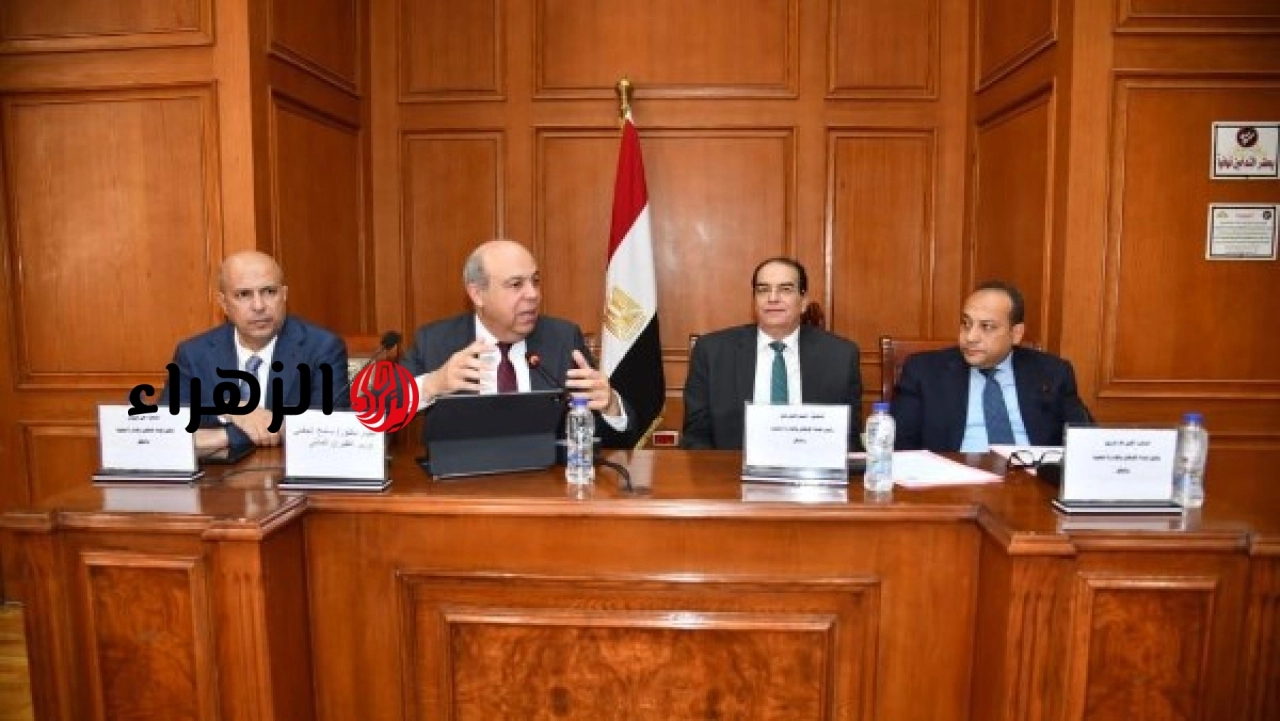 وزير الطيران يعرض استراتيجية الوزارة لتعزيز كفاءة واستدامة قطاع الطيران أمام مجلس الشيوخ