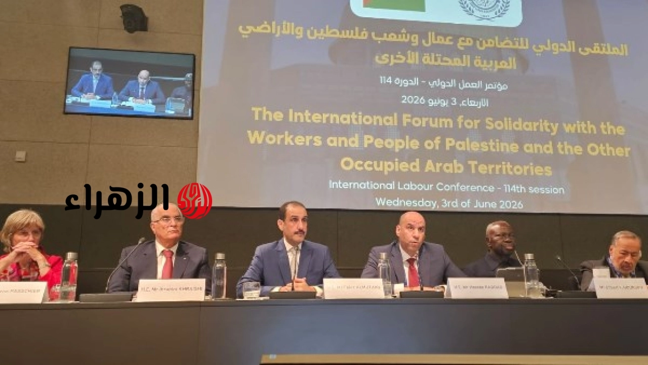وزير العمل يؤكد من جنيف دعم مصر لحقوق الشعب الفلسطيني في منتدى العمل الدولي