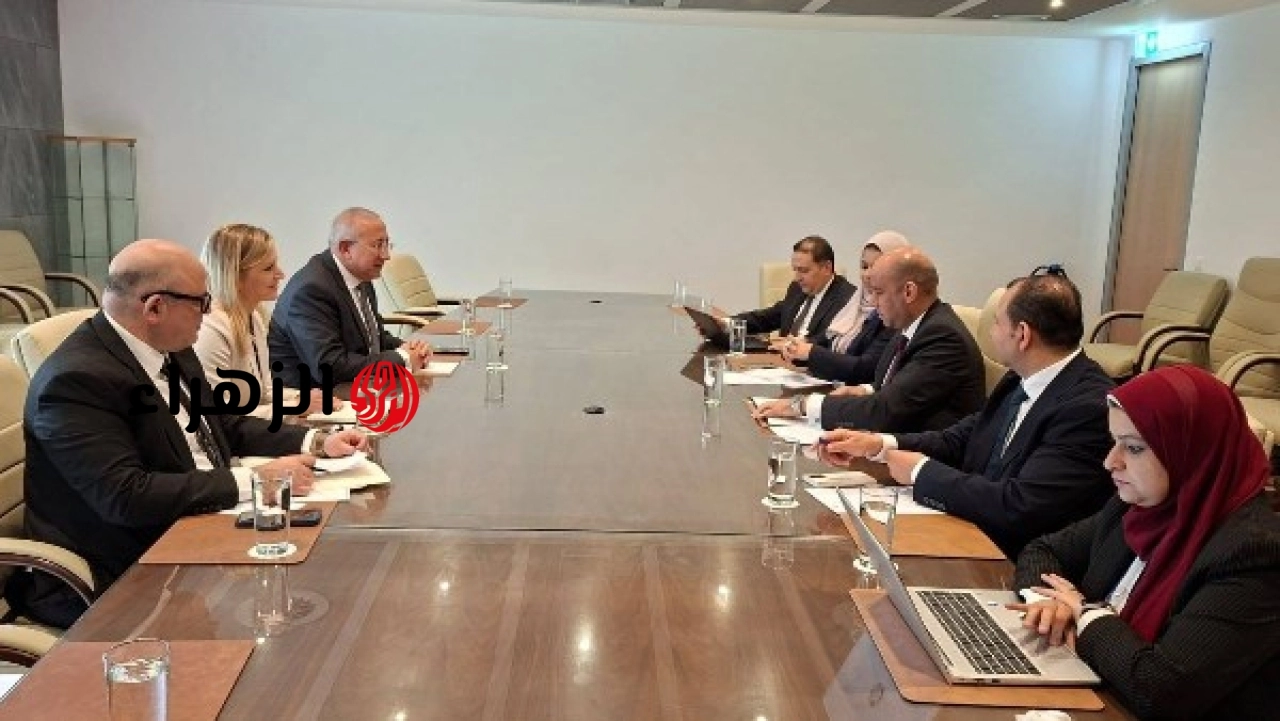 وزير العمل يبحث مع المنظمة الدولية للتوظيف فتح أسواق العمل الأوروبية أمام الشباب المصري