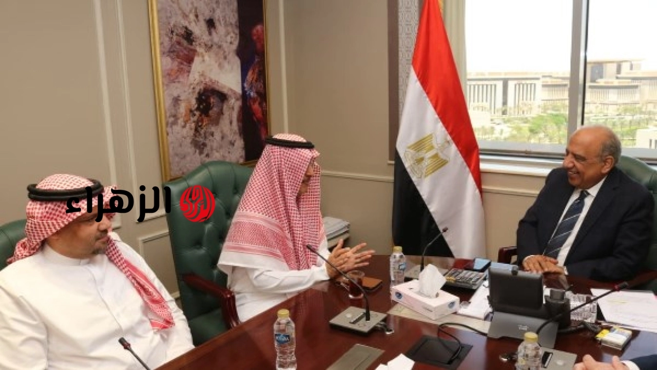 وزير الكهرباء يبحث مع شركة أكوا باور السعودية تعزيز التعاون في مجالات الطاقة والمشروعات المشتركة