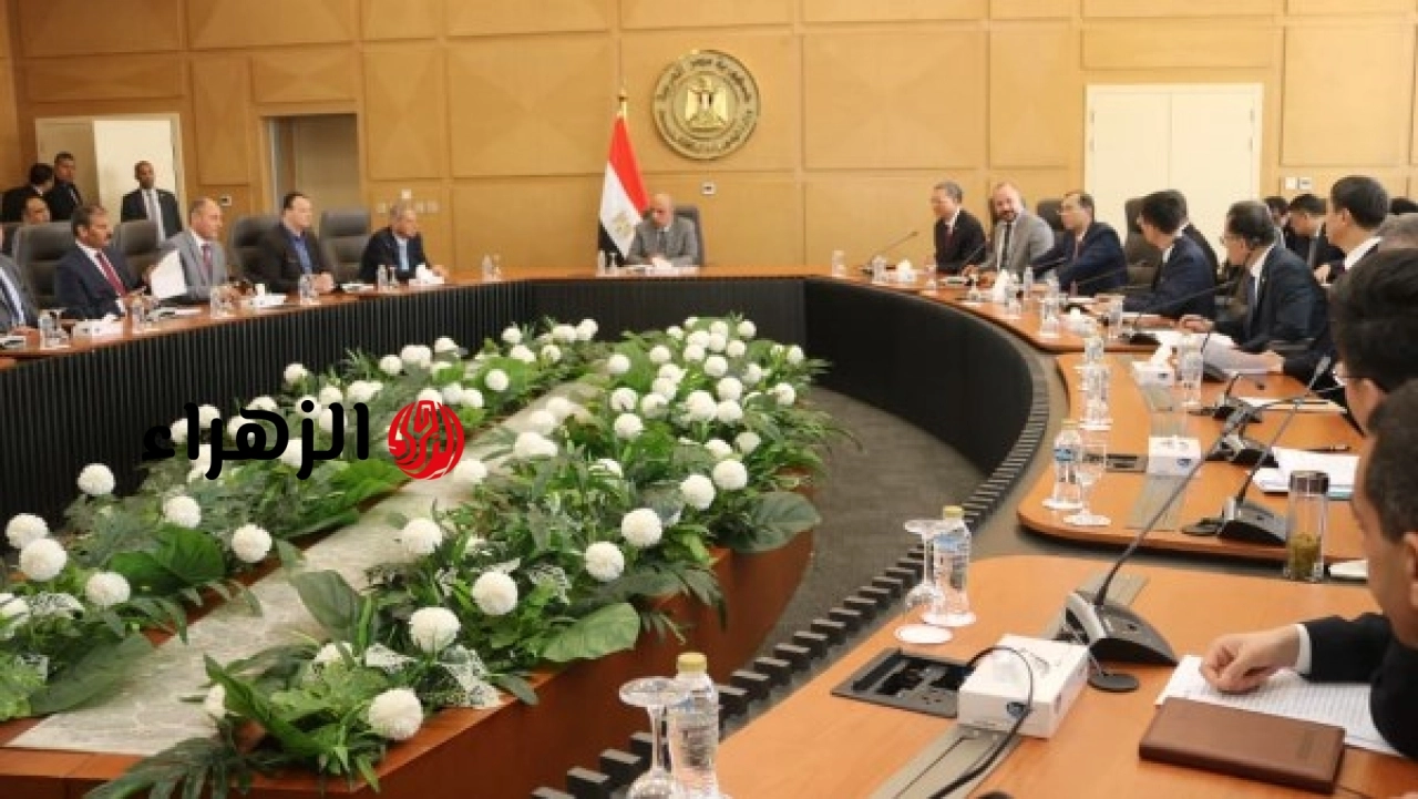 وزير الكهرباء يبحث مع وفد صيني تعزيز التعاون في مشروعات الطاقة المتجددة