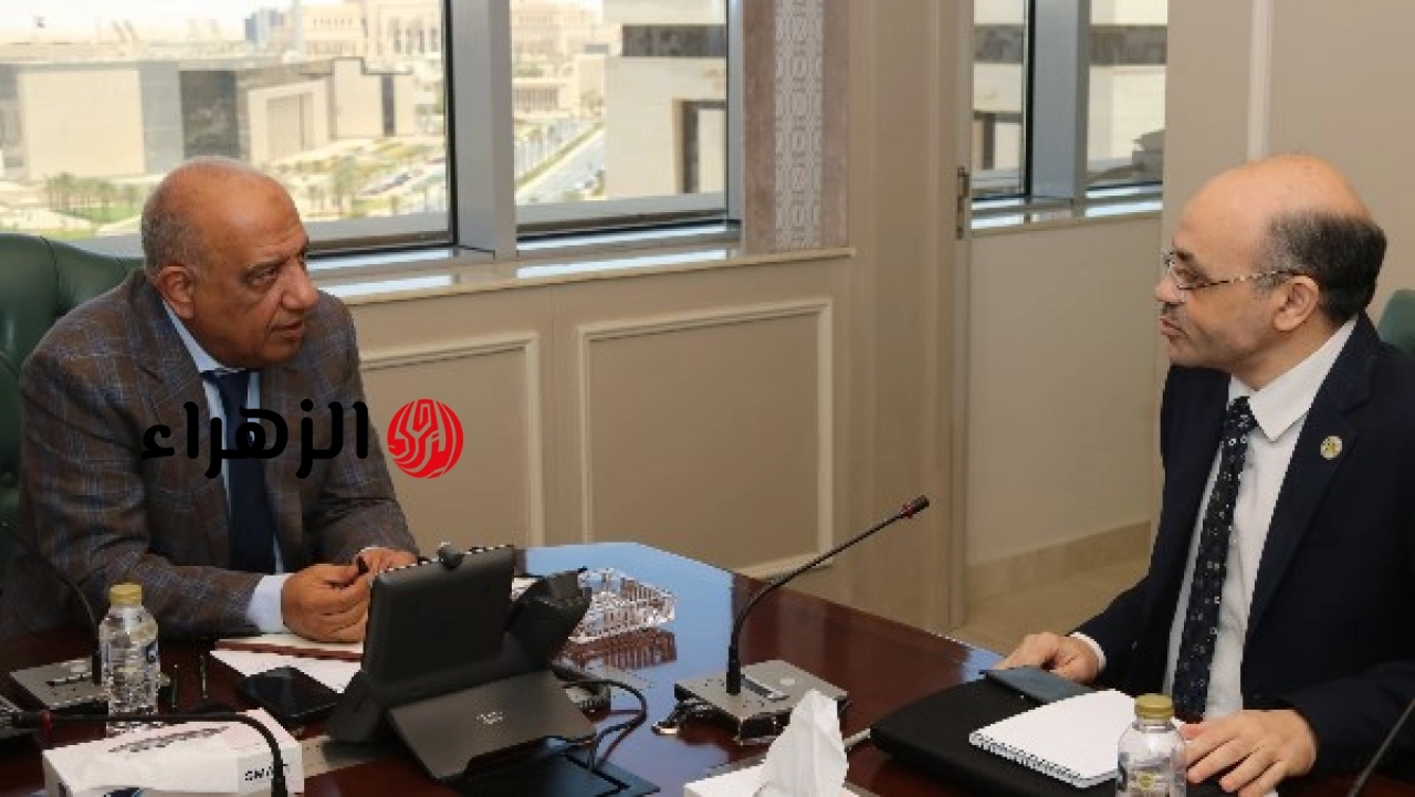 وزير الكهرباء يتابع مع رئيس هيئة المواد النووية مشروعات الاستفادة من العناصر النادرة