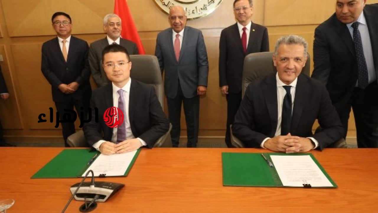 وزير الكهرباء يعلن إدخال أنظمة تخزين الطاقة للشبكة لأول مرة العام الماضي