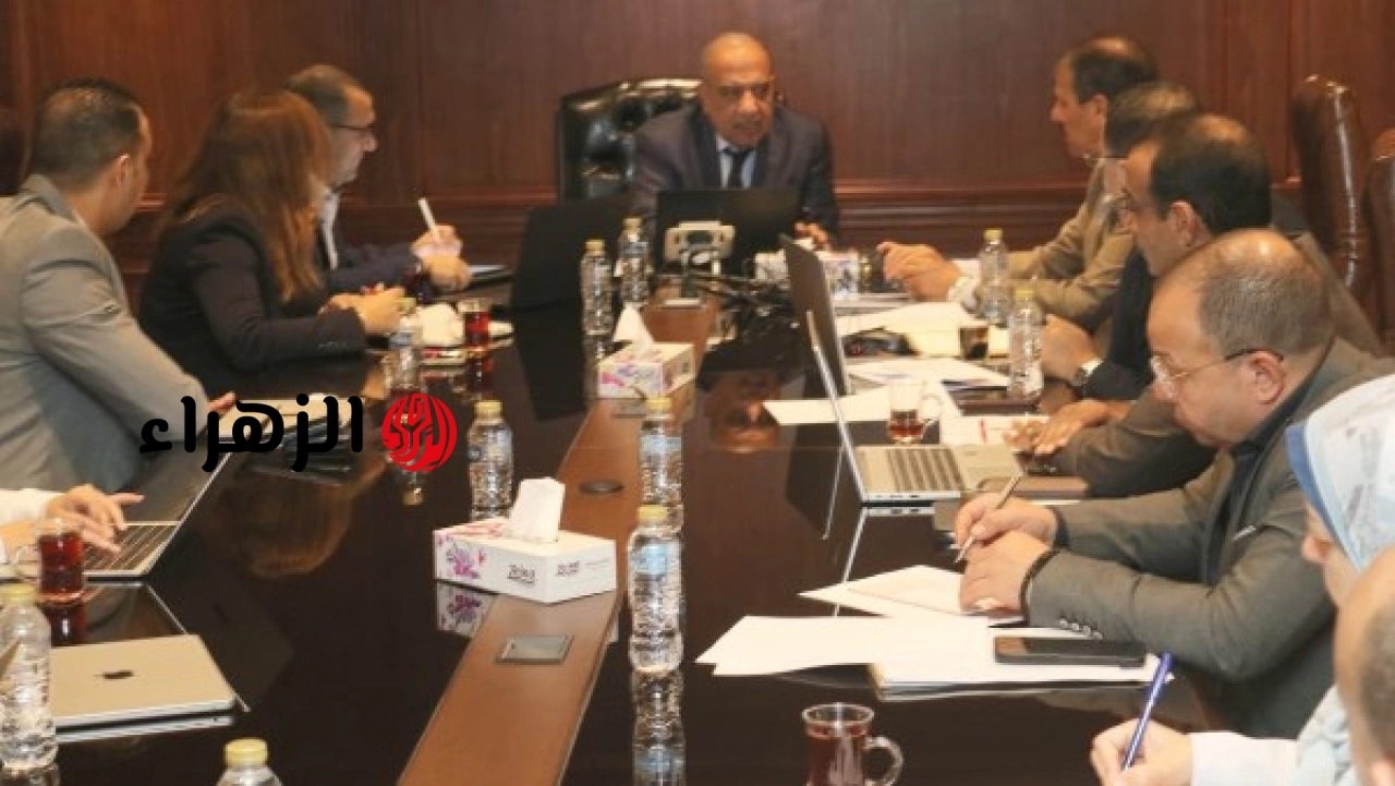 وزير الكهرباء يناقش مع شركة نكسوس أنالاتيكا تطوير ضوابط تنظيم سوق الكهرباء