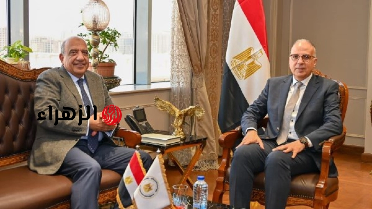 وزيرا الري والكهرباء يعلنان التوسع في استخدام الطاقة الشمسية بمحطات الرفع