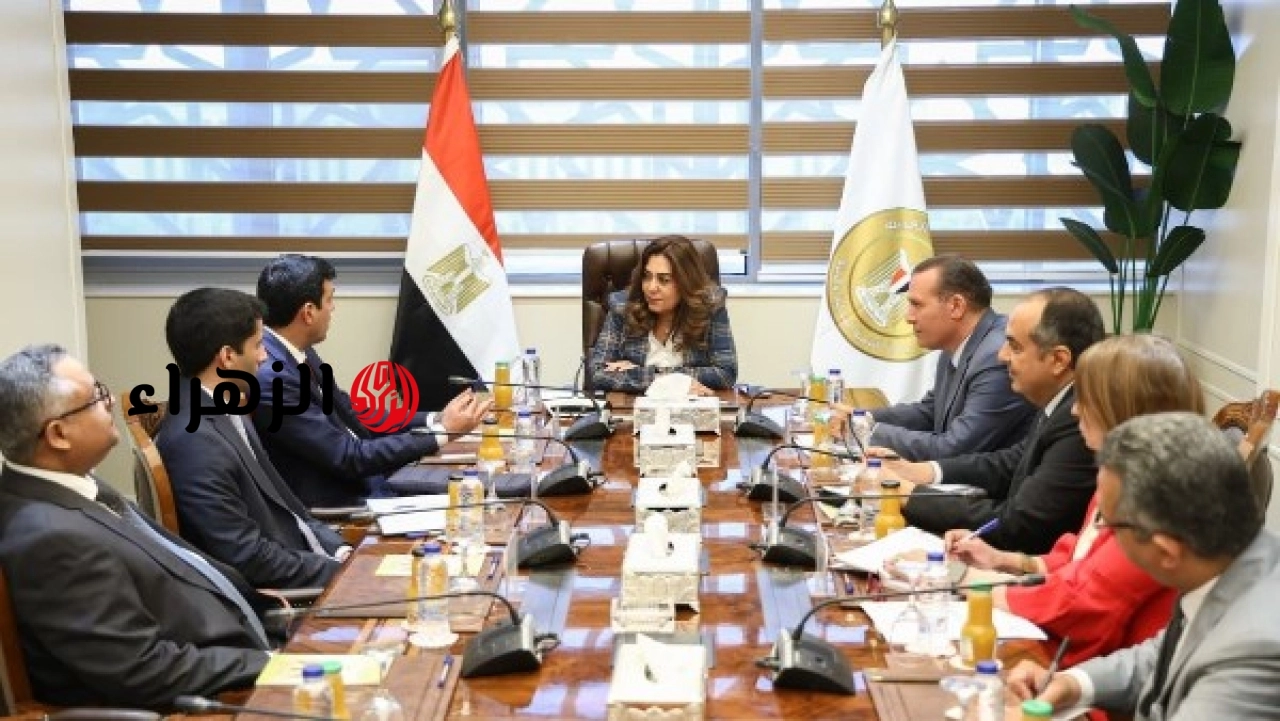 وزيرة التنمية المحلية تبحث سبل تعزيز التعاون مع منظمة المدن العربية وتبادل الخبرات بين الجانبين