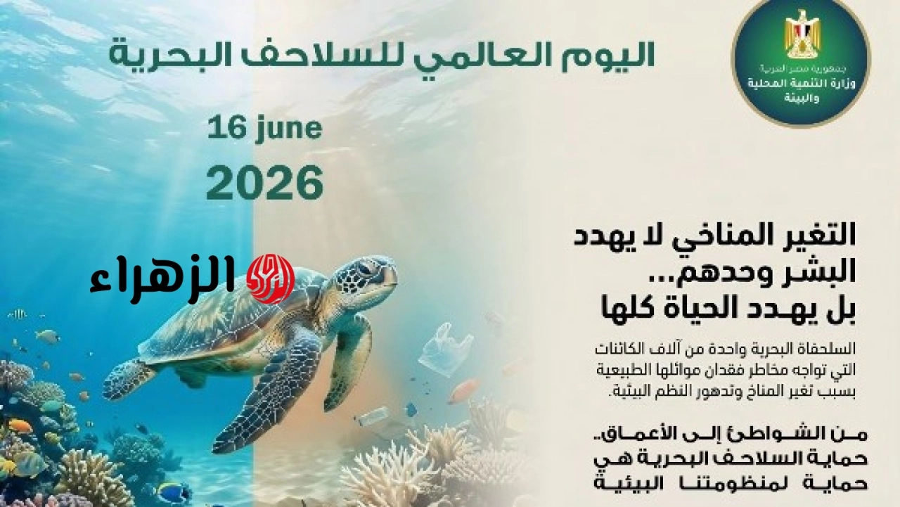 وزيرة التنمية المحلية والبيئة تؤكد أهمية حماية السلاحف البحرية لدعم النظم البيئية وضمان مستقبل الأجيال