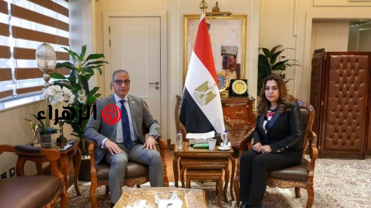 وزيرة التنمية المحلية والبيئة تتابع تنفيذ مشروعات الخطة الاستثمارية وتطوير منظومة المخلفات مع محافظ الجيزة