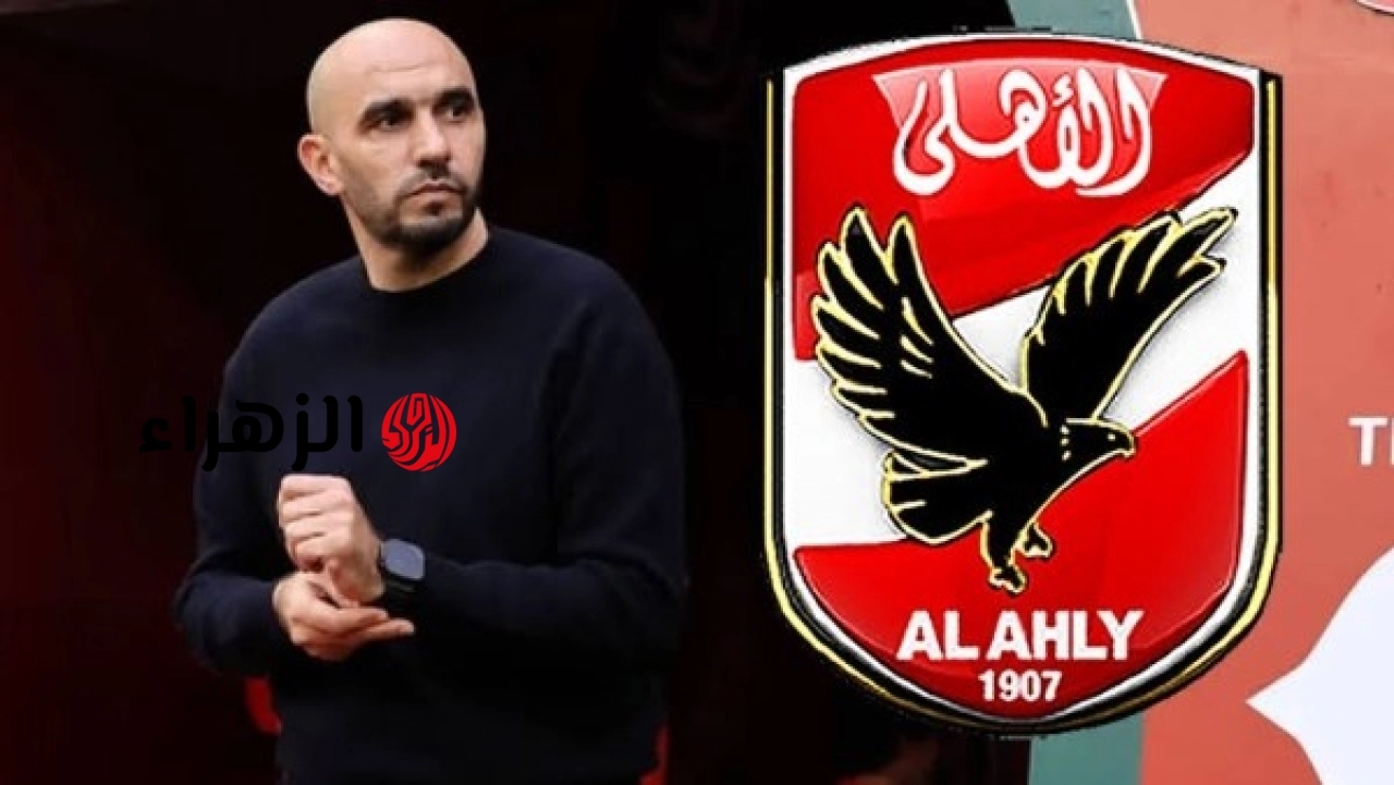 هل يقترب وليد الركراكي من خلافة توروب في الأهلي؟.. إعلامي يكشف مفاجأة