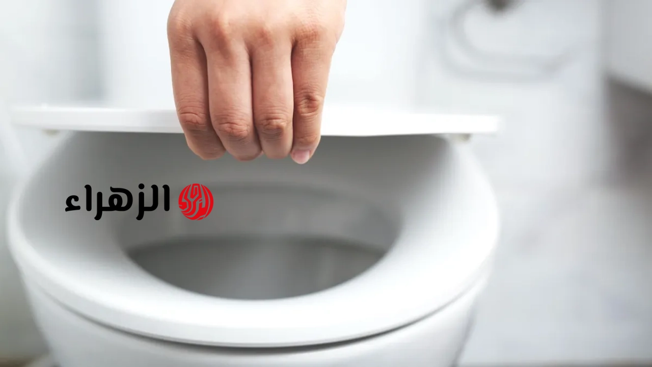 كيف تؤثر السالمونيلا في الأمعاء على حركات الأمعاء