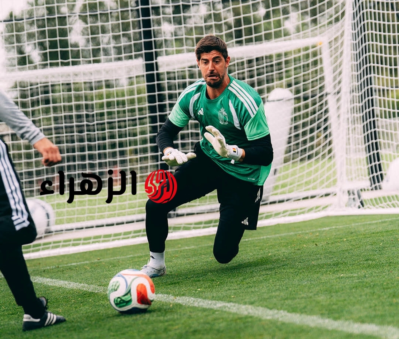 كورتوا يخضع لفحوصات بعد الإصابة في كأس العالم