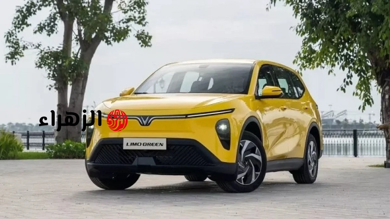 أفضل 5 طرازات مبيعًا من VinFast في يونيو 2026: لا يزال طراز VinFast Limo Green يتصدر القائمة.