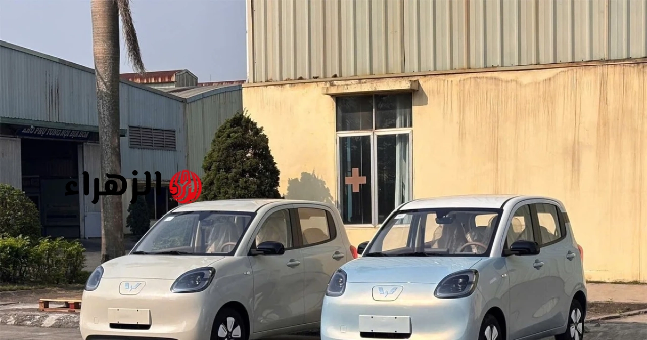 يبلغ سعر سيارة Wuling Macaron بحد أقصى 329 مليون دونغ فيتنامي، وهي تنافس في فئة السيارات الكهربائية الصغيرة.