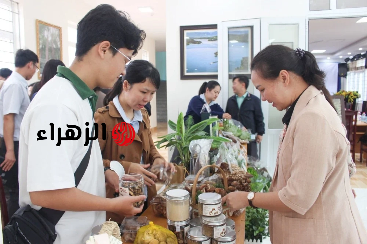 تُكثّف مقاطعة لام دونغ دعمها للشركات الناشئة المبتكرة.