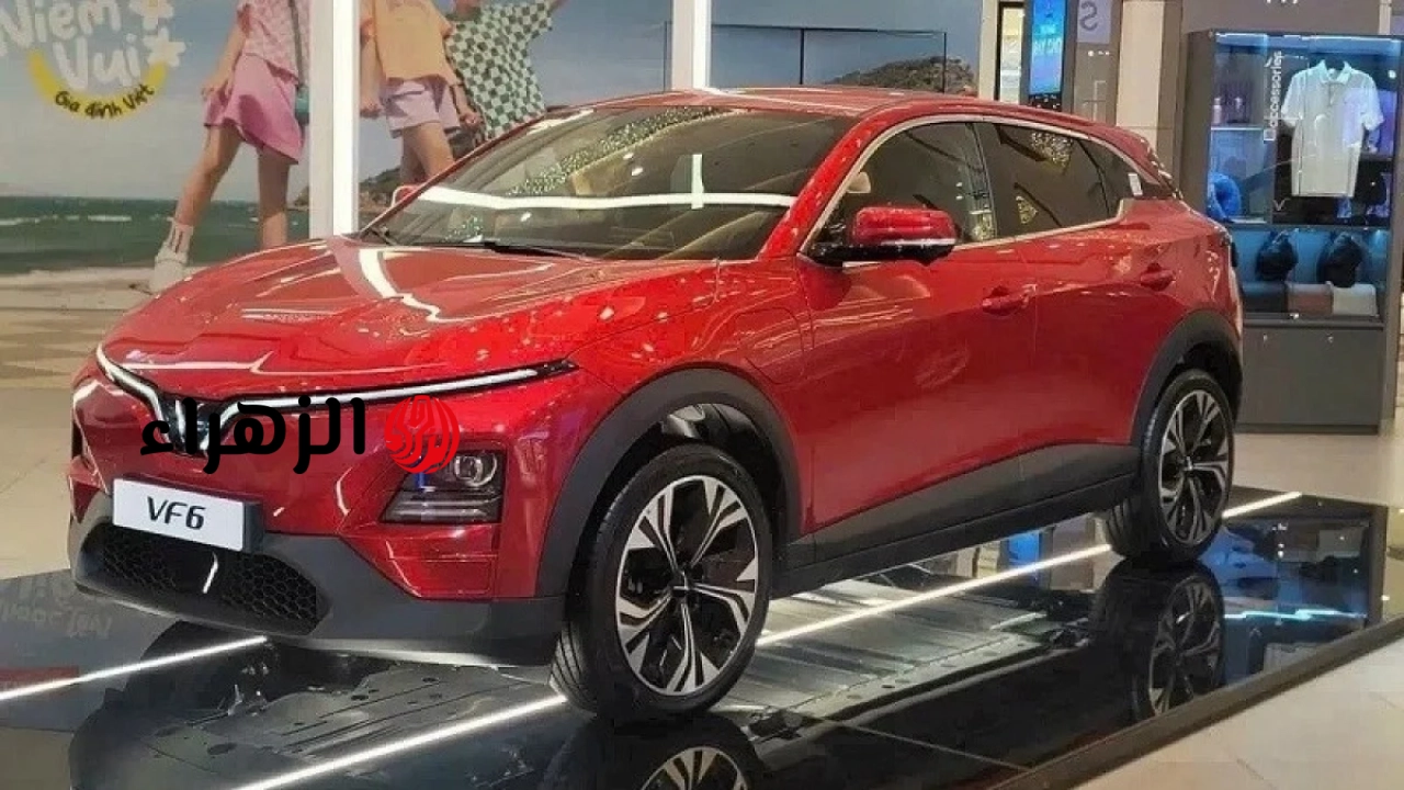 أفضل 5 سيارات رياضية متعددة الاستخدامات من الفئة B مبيعًا في يونيو 2026: سيارة VinFast VF 6 لا تزال في الصدارة.