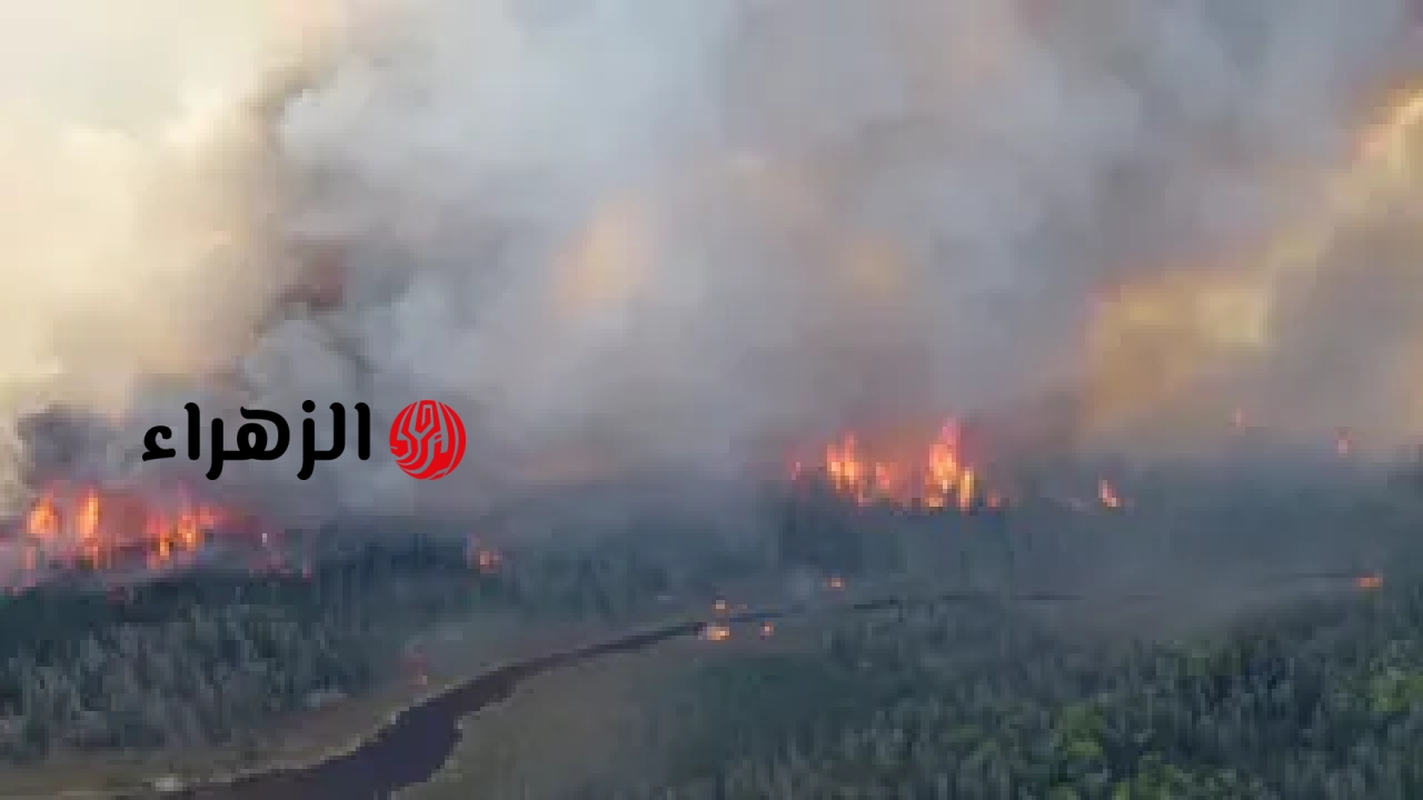 انتشر الدخان الناتج عن حرائق الغابات الكندية في أجزاء كبيرة من أمريكا، وهي المشكلة التي نشأت في نيويورك قبل كأس العالم FIFA