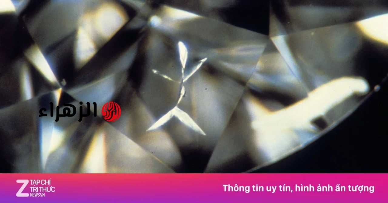 https://www.vietnam.vn/ar/kiem-dinh-kim-cuong-la-lam-gi