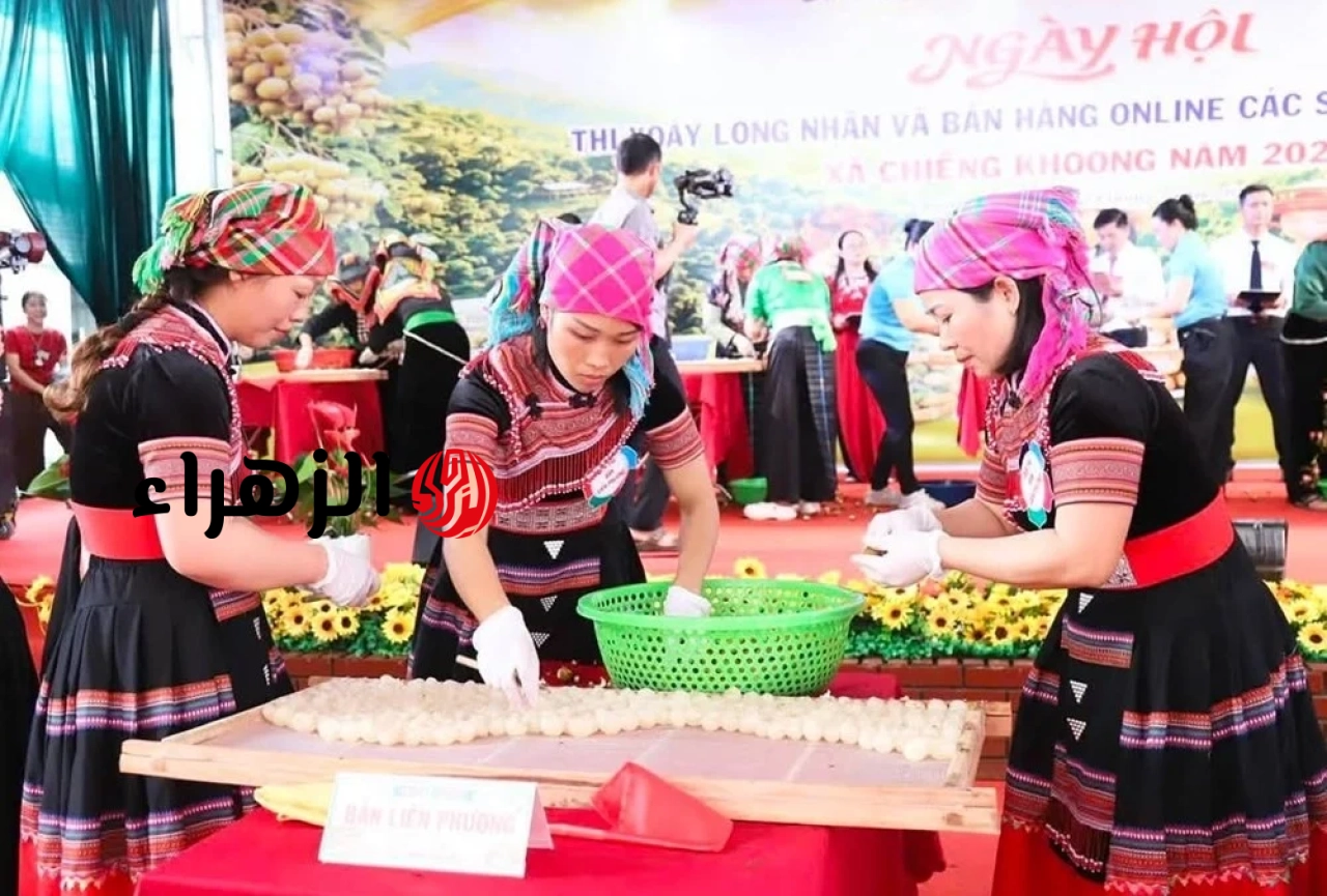 https://www.vietnam.vn/ar/mo-loi-dua-dac-san-nhan-chieng-khoong-vuon-xa-bang-nen-tang-so